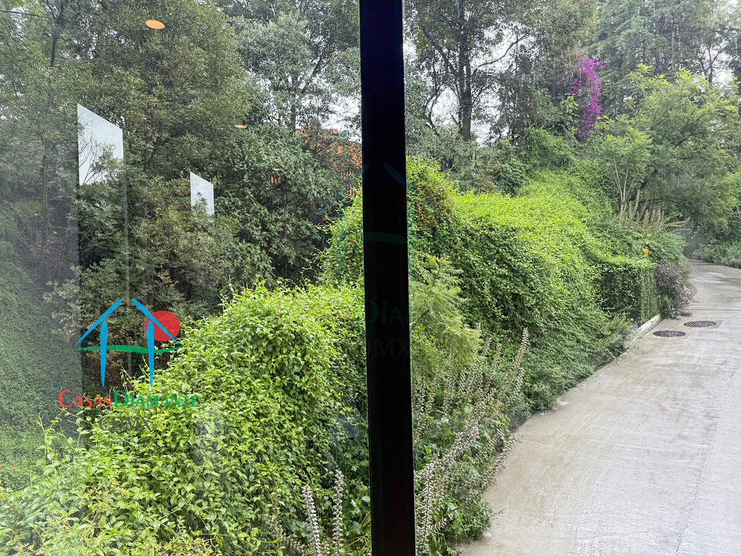 Desierto de los Leones Acanto AJA1 - Recámara uno 6